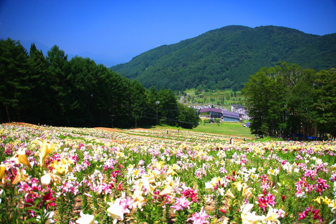 Hotel Harvest Madarao Shinano  Екстер'єр фото